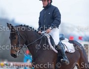 Dahila della Verdina Tosc Tour2013- S5 1774 : Arezzo, Cavalli d'Italia, Dahila della Verdina, Toscana Tour 2013, foto di Stefano Secchi ©
